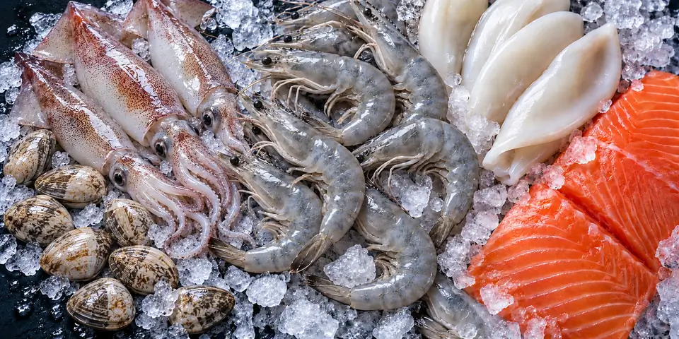 Illustrative arrangement of grey raw prawns, whole squid, flower clams, squid tubes and salmon on crushed ice